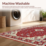 Ultra Soft Area Rug, Non Slip, Stain Resistant, Washable Area Rugs for Living Room, Bedroom, Vibrant Abstract Artful Composition(Red)