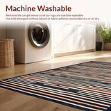 Ultra Soft Area Rug, Non Slip, Stain Resistant, Washable Area Rugs for Living Room, Bedroom, Elegant Charcoal and Peach Stripes(Black)