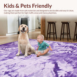 Ultra Soft Area Rug, Non Slip, Stain Resistant, Washable Area Rugs for Living Room, Bedroom, Whimsical Colorful Soft Texture(Purple)