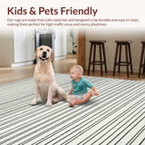 Ultra Soft Area Rug, Non Slip, Stain Resistant, Washable Area Rugs for Living Room, Bedroom, Simple Black and White Striped Floor Rug Area(Gray)