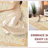 Ultra Soft Area Rug, Non Slip, Stain Resistant, Washable Area Rugs for Living Room, Bedroom, Chic Neutral Retro Aesthetic(Ivory)