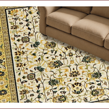 Ultra Soft Area Rug, Non Slip, Stain Resistant, Washable Area Rugs for Living Room, Bedroom, Elegant Transitional Botanical Motif(Ivory)