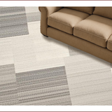Ultra Soft Area Rug, Non Slip, Stain Resistant, Washable Area Rugs for Living Room, Bedroom, Neutral Toned Minimalist Textured Elegance(Gray)