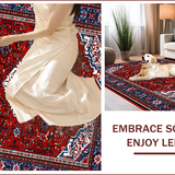 Ultra Soft Area Rug, Non Slip, Stain Resistant, Washable Area Rugs for Living Room, Bedroom, Traditional Non-Slip Bedroom Rug for Pets(Red)