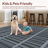 Ultra Soft Area Rug, Non Slip, Stain Resistant, Washable Area Rugs for Living Room, Bedroom, Sophisticated Earthy Tone Decor(Gray)