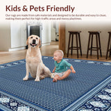Ultra Soft Area Rug, Non Slip, Stain Resistant, Washable Area Rugs for Living Room, Bedroom, Porch Paradise(Blue)