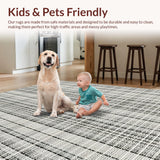 Ultra Soft Area Rug, Non Slip, Stain Resistant, Washable Area Rugs for Living Room, Bedroom, Black and White Striped Carpet, Geometric Pattern(Gray)