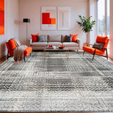 Ultra Soft Area Rug, Non Slip, Stain Resistant, Washable Area Rugs for Living Room, Bedroom, Black White Patterned Rug Indoor(Black)