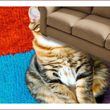 Ultra Soft Area Rug, Non Slip, Stain Resistant, Washable Area Rugs for Living Room, Bedroom, Cat Themed Welcome Doormat(Blue)