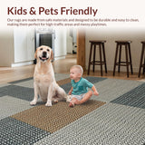 Ultra Soft Area Rug, Non Slip, Stain Resistant, Washable Area Rugs for Living Room, Bedroom, Foldable Machine Washable Kids Playroom Carpet(Gray)
