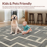 Ultra Soft Area Rug, Non Slip, Stain Resistant, Washable Area Rugs for Living Room, Bedroom, Minimalist Monochrome Outdoor Elegance(Gray)