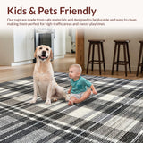 Ultra Soft Area Rug, Non Slip, Stain Resistant, Washable Area Rugs for Living Room, Bedroom, Contemporary Minimalist Rug Featuring Crisp Black And White Parallel Stripes(Gray)