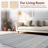 Ultra Soft Area Rug, Non Slip, Stain Resistant, Washable Area Rugs for Living Room, Bedroom, Contemporary Soft Earth Tone Motif(Gray)