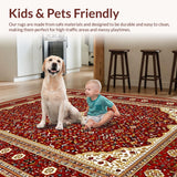Ultra Soft Area Rug, Non Slip, Stain Resistant, Washable Area Rugs for Living Room, Bedroom, Artful Ornate Symmetrical Border(Red)