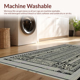 Ultra Soft Area Rug, Non Slip, Stain Resistant, Washable Area Rugs for Living Room, Bedroom, Rustic Natural Tiled Aesthetic(Black)