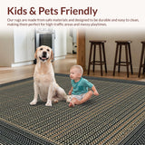 Ultra Soft Area Rug, Non Slip, Stain Resistant, Washable Area Rugs for Living Room, Bedroom, Rustic Softened Linear Patterns(Gray)