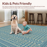 Ultra Soft Area Rug, Non Slip, Stain Resistant, Washable Area Rugs for Living Room, Bedroom, Abstract Lattice Design in Blue(Blue)