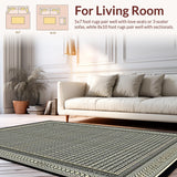 Ultra Soft Area Rug, Non Slip, Stain Resistant, Washable Area Rugs for Living Room, Bedroom, Striking Ethnic Patterned Ensemble(Gray)