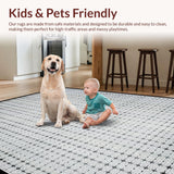 Ultra Soft Area Rug, Non Slip, Stain Resistant, Washable Area Rugs for Living Room, Bedroom, Sleek Silver Geometric Motif(Gray)