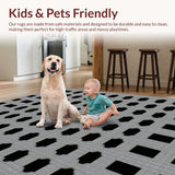 Ultra Soft Area Rug, Non Slip, Stain Resistant, Washable Area Rugs for Living Room, Bedroom, Stylish Lattice Structure in Noir(Black)