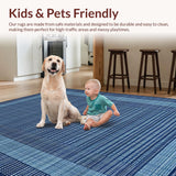 Ultra Soft Area Rug, Non Slip, Stain Resistant, Washable Area Rugs for Living Room, Bedroom, Tranquil Spa-Inspired Rug Style(Blue)