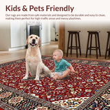 Ultra Soft Area Rug, Non Slip, Stain Resistant, Washable Area Rugs for Living Room, Bedroom, Cozy Distressed Linear Patterns(Red)