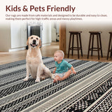 Ultra Soft Area Rug, Non Slip, Stain Resistant, Washable Area Rugs for Living Room, Bedroom, Stylish Minimalist Patterned Piece(Black)