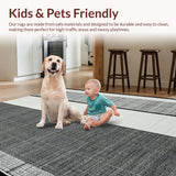 Ultra Soft Area Rug, Non Slip, Stain Resistant, Washable Area Rugs for Living Room, Bedroom, Woven Black White Stripe Rug: Contemporary Home Decor Carpet(Gray)