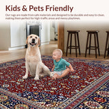 Ultra Soft Area Rug, Non Slip, Stain Resistant, Washable Area Rugs for Living Room, Bedroom, Luxurious Sherpa for(Red)