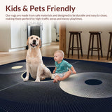 Ultra Soft Area Rug, Non Slip, Stain Resistant, Washable Area Rugs for Living Room, Bedroom, Striking Modern Abstract Contrast Piece(Black)