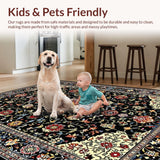 Ultra Soft Area Rug, Non Slip, Stain Resistant, Washable Area Rugs for Living Room, Bedroom, Luxurious Double Plush Aesthetic(Black)