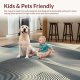 Ultra Soft Area Rug, Non Slip, Stain Resistant, Washable Area Rugs for Living Room, Bedroom, Black and White Twisted Stripe for Contemporary Room(Gray)