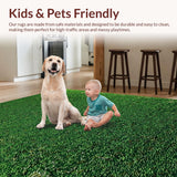 Ultra Soft Area Rug, Non Slip, Stain Resistant, Washable Area Rugs for Living Room, Bedroom, Serene Nature-Inspired Green Palette(Green)