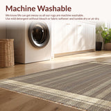 Ultra Soft Area Rug, Non Slip, Stain Resistant, Washable Area Rugs for Living Room, Bedroom, Sophisticated Warm Toned Arrangement(Beige)
