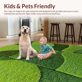 Ultra Soft Area Rug, Non Slip, Stain Resistant, Washable Area Rugs for Living Room, Bedroom, Fluffy Non-Slip Bedroom Rug for Minimal Living(Green)
