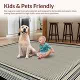 Ultra Soft Area Rug, Non Slip, Stain Resistant, Washable Area Rugs for Living Room, Bedroom, Streamlined Neutral Basketweave Elegance(White)