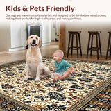 Ultra Soft Area Rug, Non Slip, Stain Resistant, Washable Area Rugs for Living Room, Bedroom, Abstract Animal Print(Ivory)
