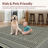 Ultra Soft Area Rug, Non Slip, Stain Resistant, Washable Area Rugs for Living Room, Bedroom, Stylish Monochrome Geometric Elegance(Black)