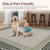 Ultra Soft Area Rug, Non Slip, Stain Resistant, Washable Area Rugs for Living Room, Bedroom, Rustic Elegant Diamond Pattern Fusion(Gray)