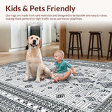 Ultra Soft Area Rug, Non Slip, Stain Resistant, Washable Area Rugs for Living Room, Bedroom, Chic Soft Patterned Surface(Gray)