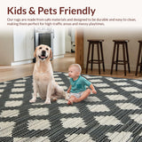 Ultra Soft Area Rug, Non Slip, Stain Resistant, Washable Area Rugs for Living Room, Bedroom, Dynamic Tribal Geometric Composition(Black)