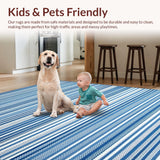 Ultra Soft Area Rug, Non Slip, Stain Resistant, Washable Area Rugs for Living Room, Bedroom, Artful Muted Color Harmony(Blue)