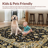 Ultra Soft Area Rug, Non Slip, Stain Resistant, Washable Area Rugs for Living Room, Bedroom, Chic Black and Gold Motif(Black)