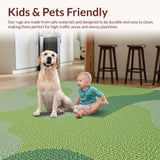 Ultra Soft Area Rug, Non Slip, Stain Resistant, Washable Area Rugs for Living Room, Bedroom, Soft Washable Dining Room Carpet with Non-Slip Backing(Green)
