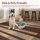 Ultra Soft Area Rug, Non Slip, Stain Resistant, Washable Area Rugs for Living Room, Bedroom, Sleek Modern Zebra Motif(Brown)
