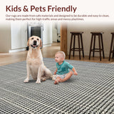 Ultra Soft Area Rug, Non Slip, Stain Resistant, Washable Area Rugs for Living Room, Bedroom, 3x10' Indoor Outdoor Runner Rug(Gray)