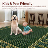 Ultra Soft Area Rug, Non Slip, Stain Resistant, Washable Area Rugs for Living Room, Bedroom, Rustic Woven Boho Area(Green)