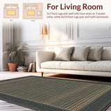 Ultra Soft Area Rug, Non Slip, Stain Resistant, Washable Area Rugs for Living Room, Bedroom, Rustic Softened Linear Patterns(Gray)