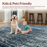Ultra Soft Area Rug, Non Slip, Stain Resistant, Washable Area Rugs for Living Room, Bedroom, Beige for(Blue)
