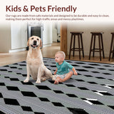 Ultra Soft Area Rug, Non Slip, Stain Resistant, Washable Area Rugs for Living Room, Bedroom, Striking Colorful Geometric Artwork(Black)